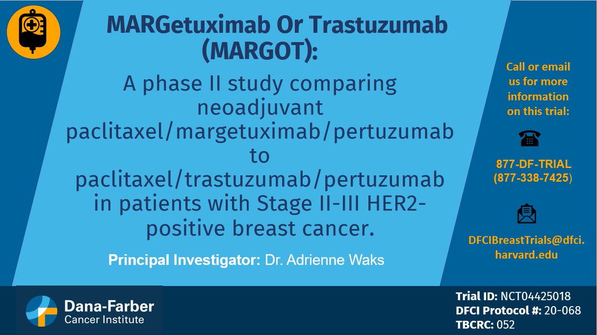 The MARGOT study led by @DFCI_BreastOnc & @TheTBCRC is optimizing preoperative therapy for Stage II-III HER2+ #BreastCancer, comparing paclitaxel/margetuximab/pertuzumab to paclitaxel/trastuzumab/pertuzumab. For more information call 877-338-7425 or visit: dana-farber.org/clinical-trial…