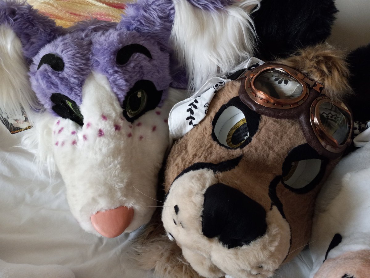 Spotty2Hotty87's tweet image. ♥ Hewwo Ladies! ♥ 
📸 taken by me at #indyfurcon23!
Bailey and Ashiera @AshieraPony! So good to be with the lovelies, don&apos;t ya agree? 
#ifc2023 #ifc23 #indyfurcon #indyfurcon2023