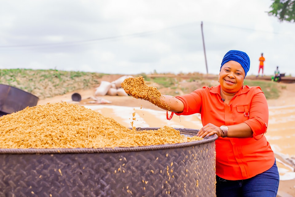 FtF Nigeria Agribusiness Investment Activity tweet media