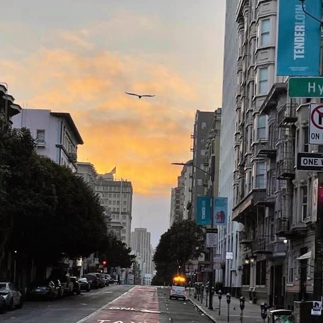 DonovanPlant's tweet photo. π βThis looks like a great place, everybody in the TL knows my faceβπ
Songwriter Showcase this Sunday 1-3:30 pm β‘οΈ @ChitChatPacifica
#DonovanPlant #TheLeafs #newsongs #sanfrancisco #ChitChatPacifica #original #Songwriter #sanfranciscomusic #BayAreaMusic #Poetry https://t.co/dMytvPZixI