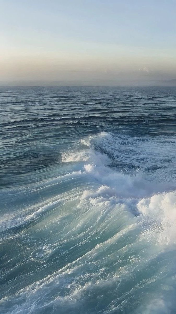 🌊