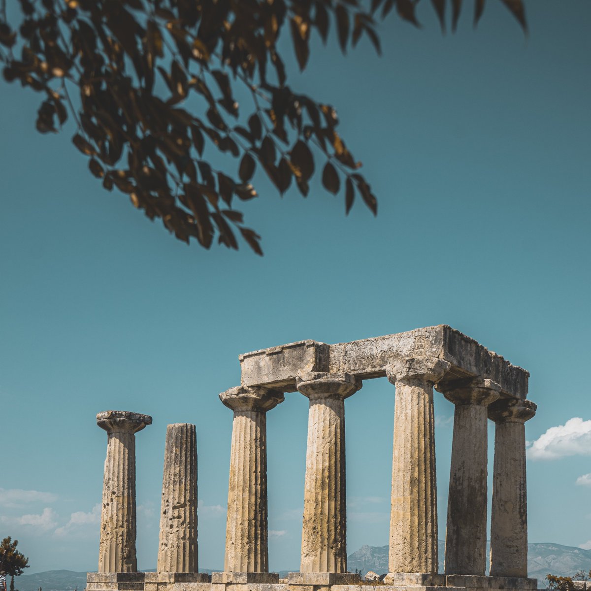 Marc & Monsson tweet media