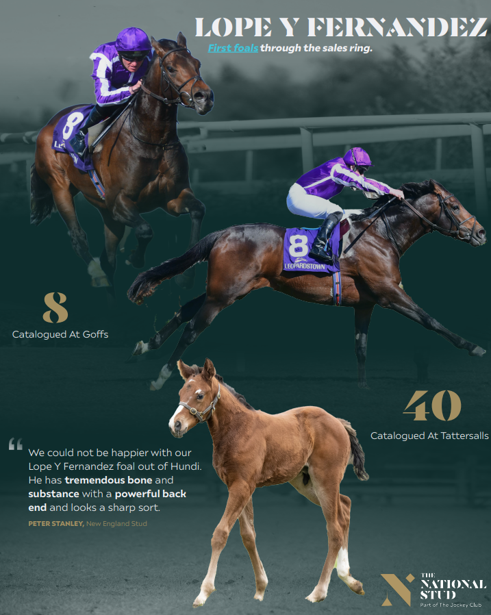 NatStudStallion's tweet photo. 2️⃣ week countdown 🕒👀 until the first 𝙇𝙤𝙥𝙚 𝙔 𝙁𝙚𝙧𝙣𝙖𝙣𝙙𝙚𝙯 foals go through the sales ring! 🐎💨 

Including a colt out of an own sister to 5️⃣xGr.1 winner 𝗧𝗵𝗲 𝗧𝗶𝗻 𝗠𝗮𝗻 and a half-sister to Gr.1 placed 𝗕𝗮𝗶𝗹𝗲𝘆𝘀 𝗝𝘂𝗯𝗶𝗹𝗲𝗲 🔥

#firstcropfernandez https://t.co/8aA0JvnNpe