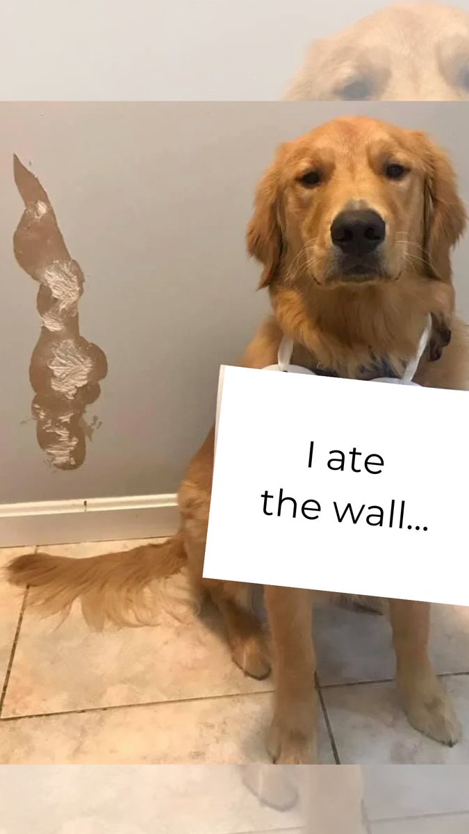 ChocoCoachKeri's tweet photo. And that, dear followers, is why we don’t recommend cutting carbs 😂 https://t.co/2zAmiVFNmw