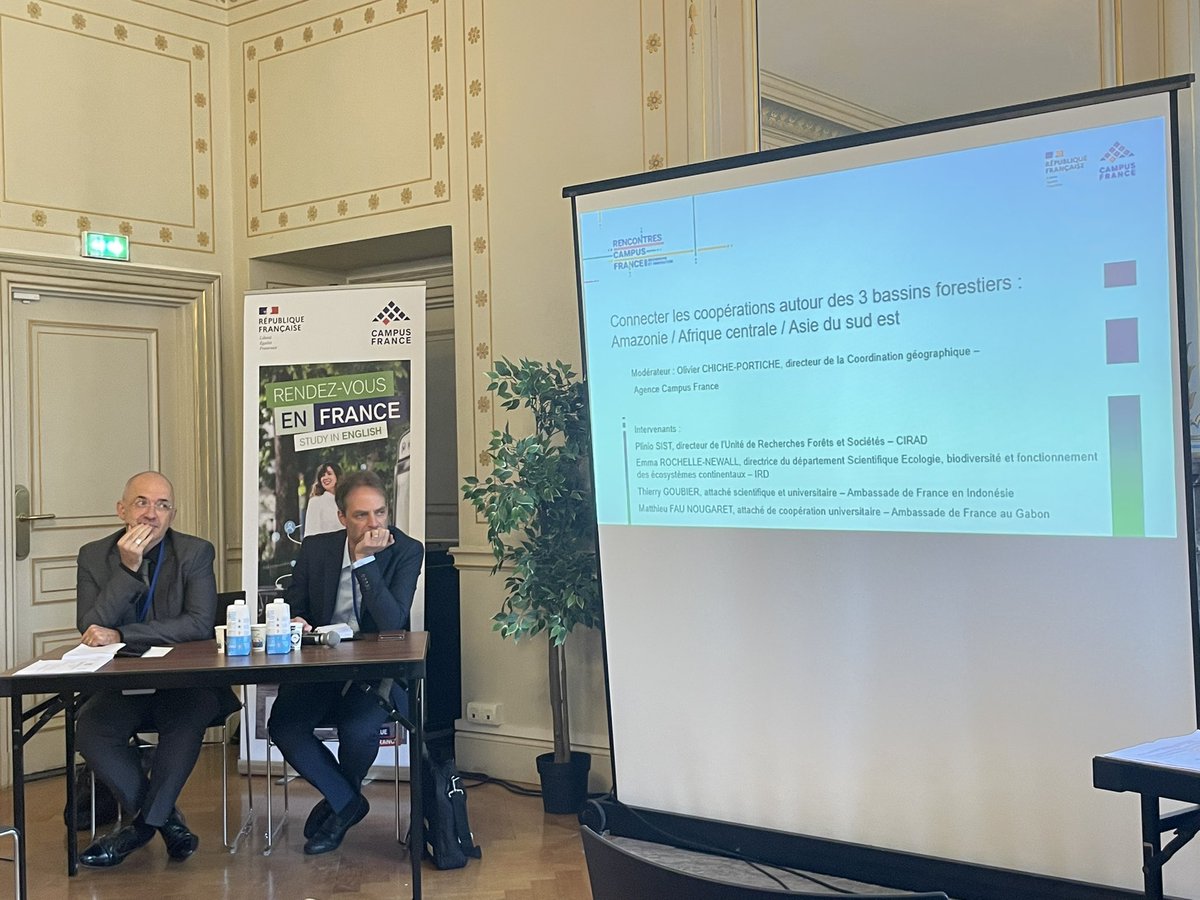 CampusFrance's tweet photo. #RencontresCF l 📌 Connecter les #coopérations autour des 3 bassins forestiers : Amazonie / Afrique centrale / Asie du Sud-Est.
↪️ 4 différents points de vue abordés par Plinio Sist, Emma Rochelle-Newall, Thierry Goubier et Matthieu Fau Nougaret. https://t.co/HvqIwoydM2