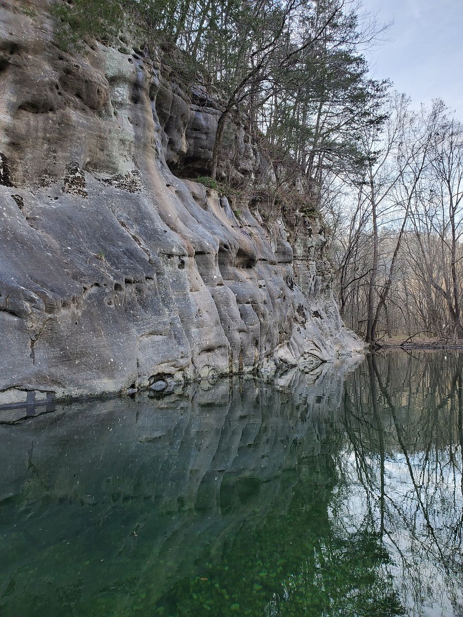 When the landscape (literally) changes, how does this affect one’s writing life? How this lifelong Ozarks author is making the transition. @C_herronauthor @ACFWTweets #writing #writinglife #ACFWCommunity acfw.com/when-the-lands… via @ACFWTweets