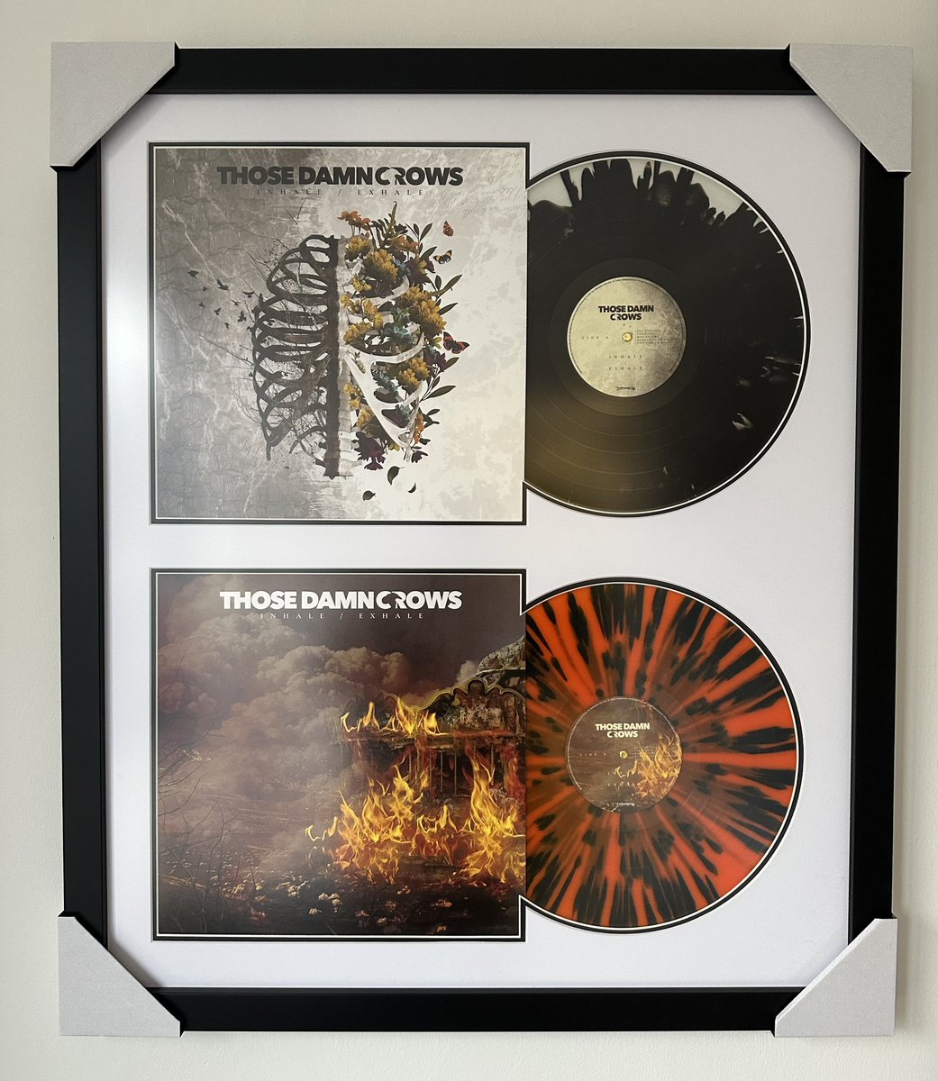 easyframeUK's tweet image. Check out these @ThoseDamnCrows framed vinyl. The vinyl sound great but they look awesome framed if you have an extra copy #vinyl #rock @EaracheRecords