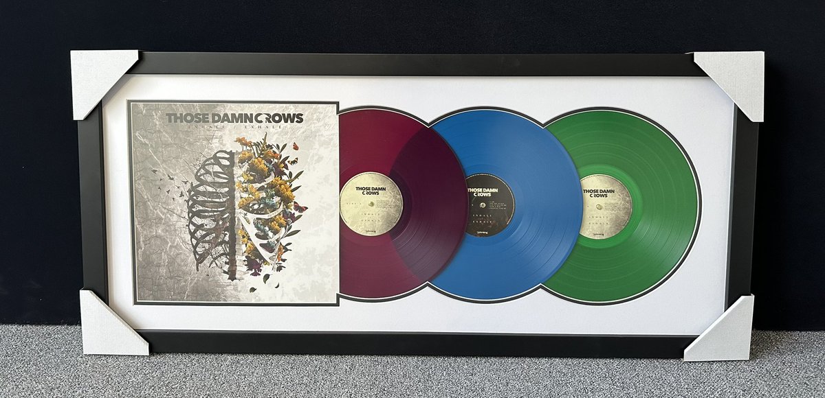easyframeUK's tweet image. Check out these @ThoseDamnCrows framed vinyl. The vinyl sound great but they look awesome framed if you have an extra copy #vinyl #rock @EaracheRecords