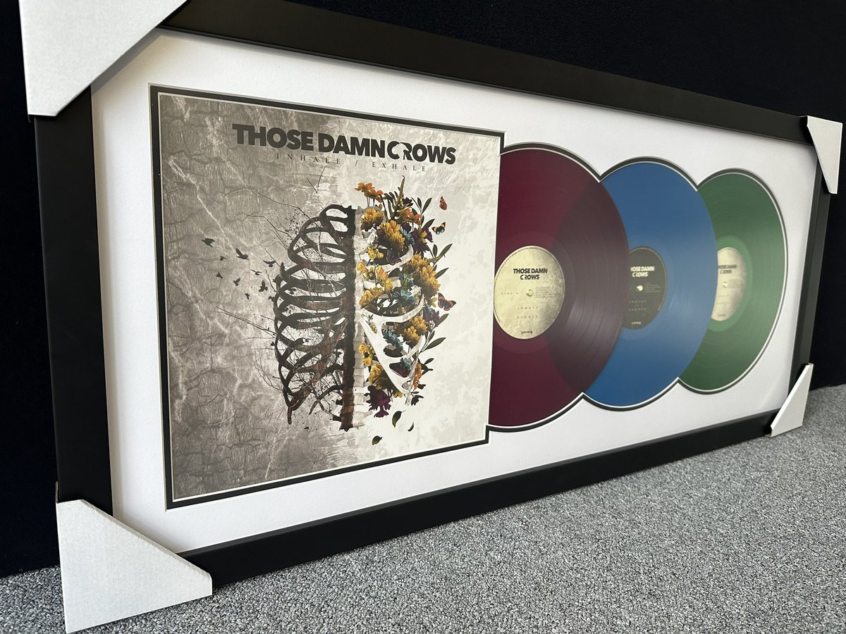 easyframeUK's tweet image. Check out these @ThoseDamnCrows framed vinyl. The vinyl sound great but they look awesome framed if you have an extra copy #vinyl #rock @EaracheRecords