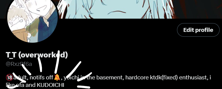 I CAN FINALLY EDIT MY PROFILE PROPERLY