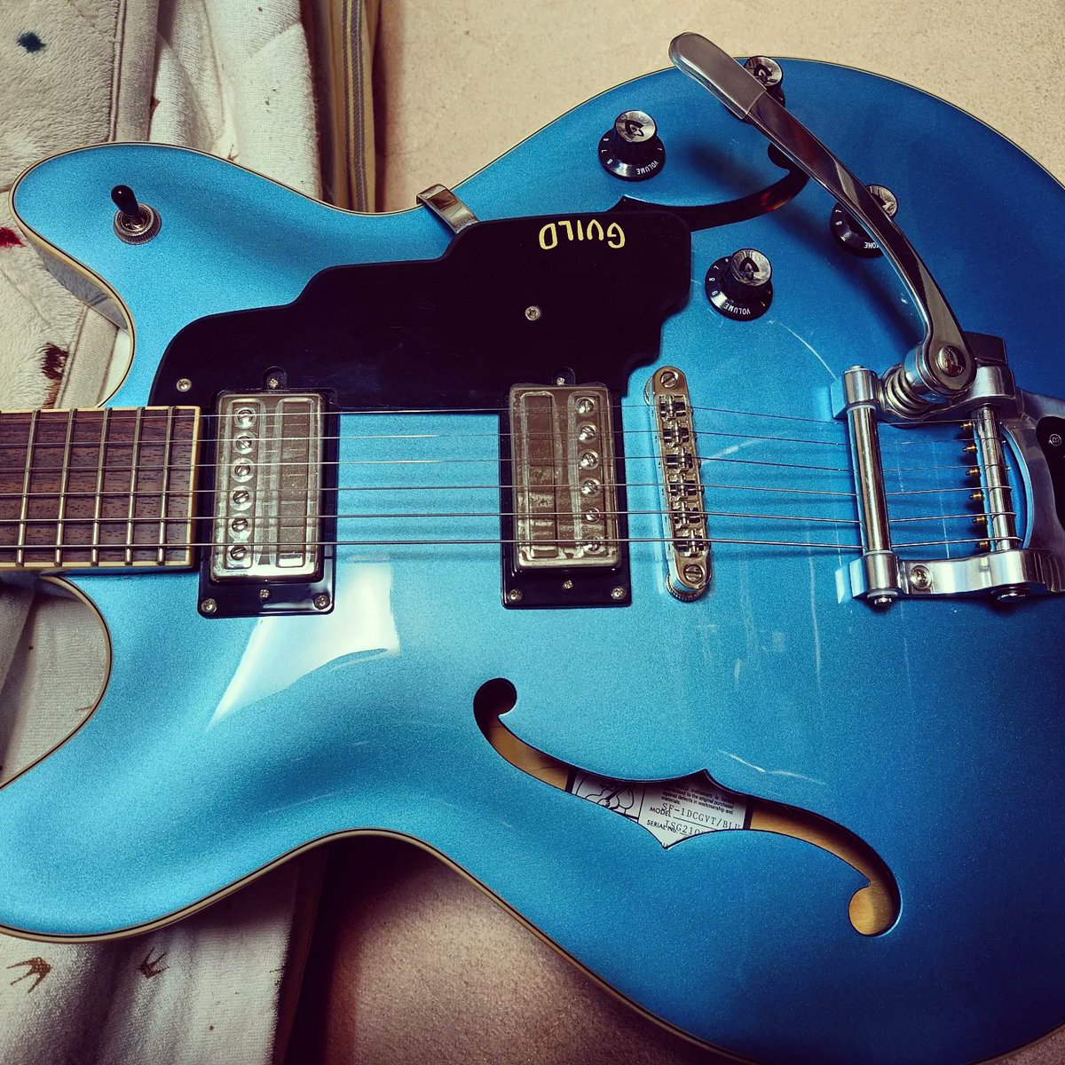 zinkeguitar's tweet photo. 衝動的にGUILDのセミアコを買いました！

新しいギターが気になるらしいクロエさん♪

#guildstarfire 
#駐車場のクロネコ 
#黒猫 
#黒猫同盟 
#cats https://t.co/r70mBUyXWi