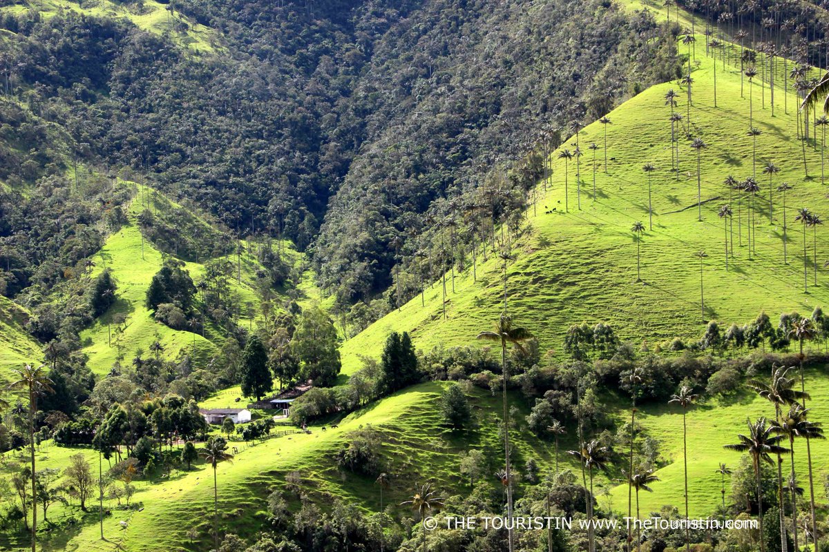 DoroLef's tweet photo. Let's say I can make your dreams come true (I can't, sorry).
What would you want to do most right now?
a) Eating gelato in Italy
b) Looking at architecture in the Czech Republic
c) Road-tripping through South Africa
d) Hiking in Colombia?
#TRLT #JaChat #TravelPhotography https://t.co/f3EL9sRdYy