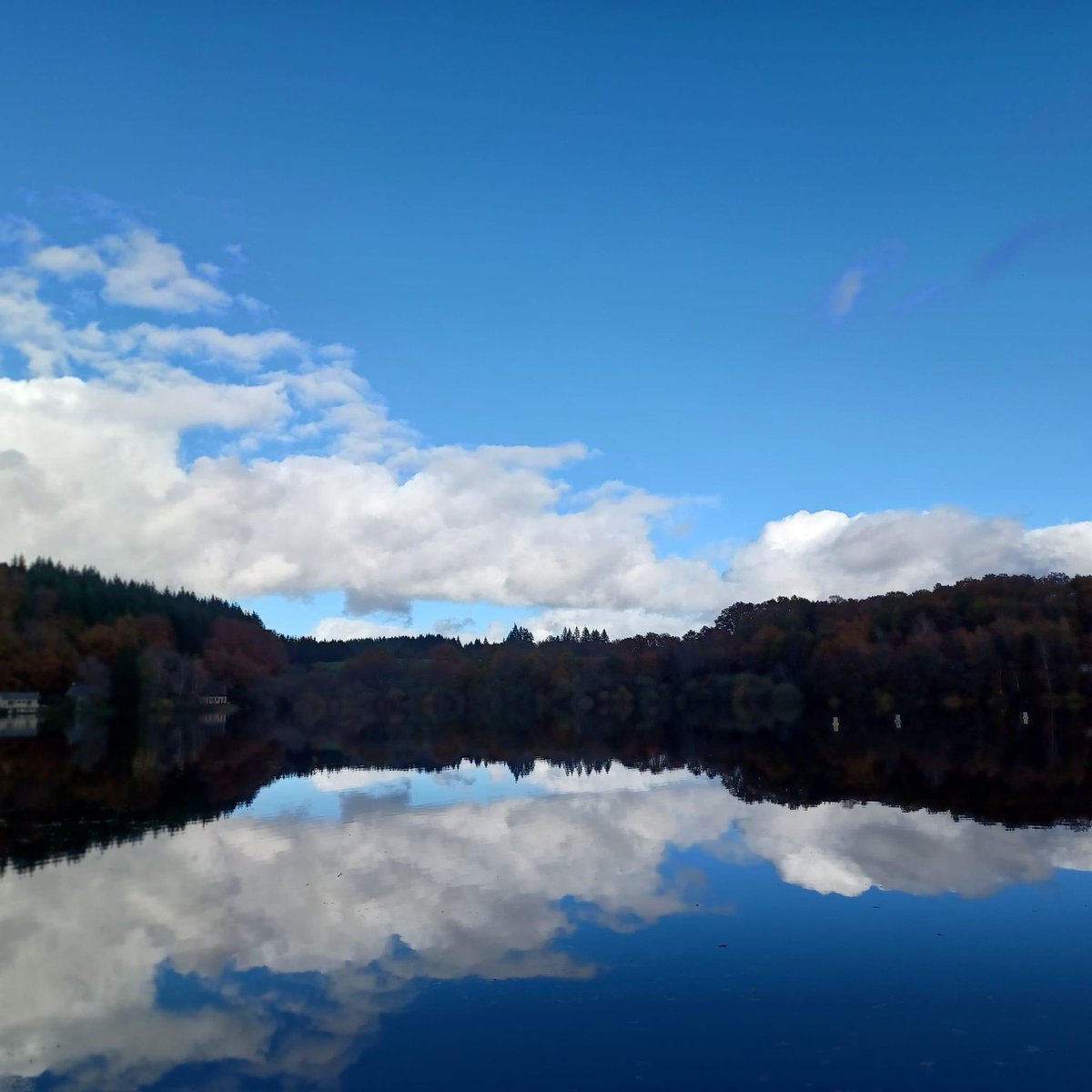 Marie Connell tweet media