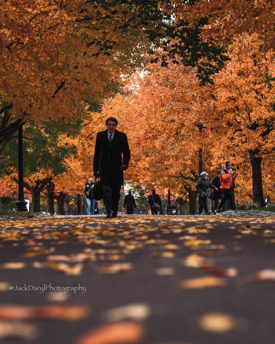 JackDarylPhotography tweet media