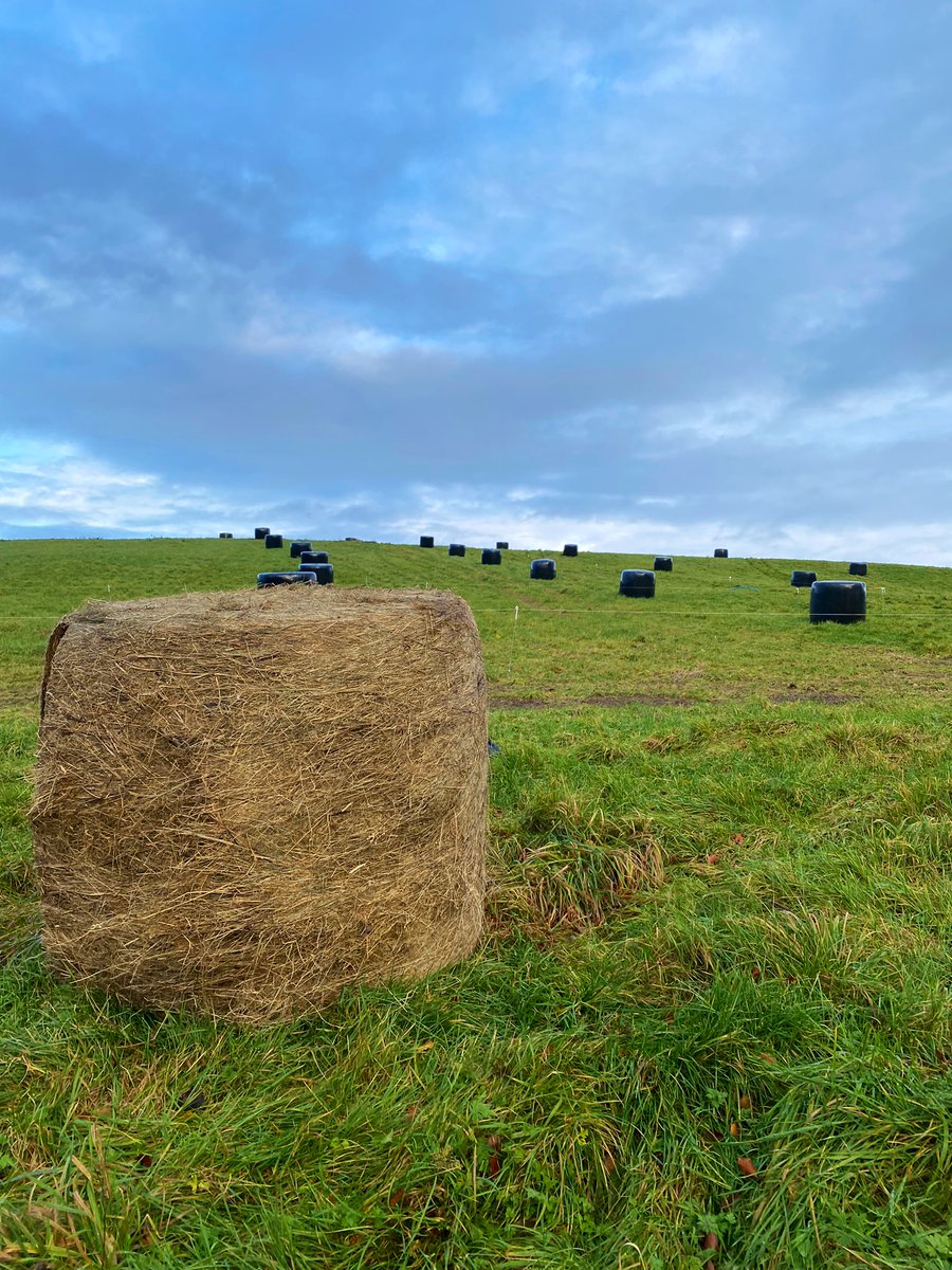 Chapelton Farm tweet media