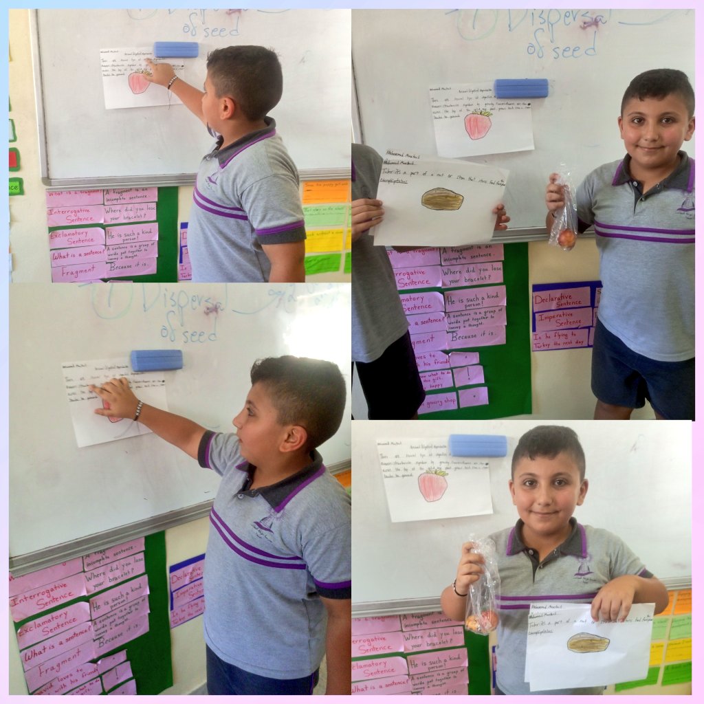 Natasha1ah's tweet photo. So proud of my grade6E👨‍🔬👩‍🔬 learners' insightful projects part2  exploring asexual reproduction.🌿 They presented their findings to the class with great enthusiasm &amp;creativity!Keep up the outstanding work,future scientists! #educationalweek @soha_nj @makdawhaschool @raefa_jomaa https://t.co/6dYaTjEiHt