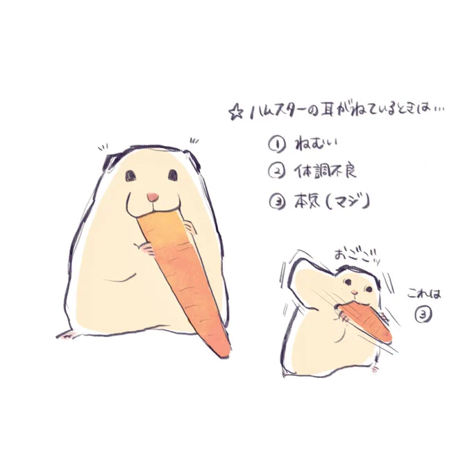 ハムスターお耳ないないのとき