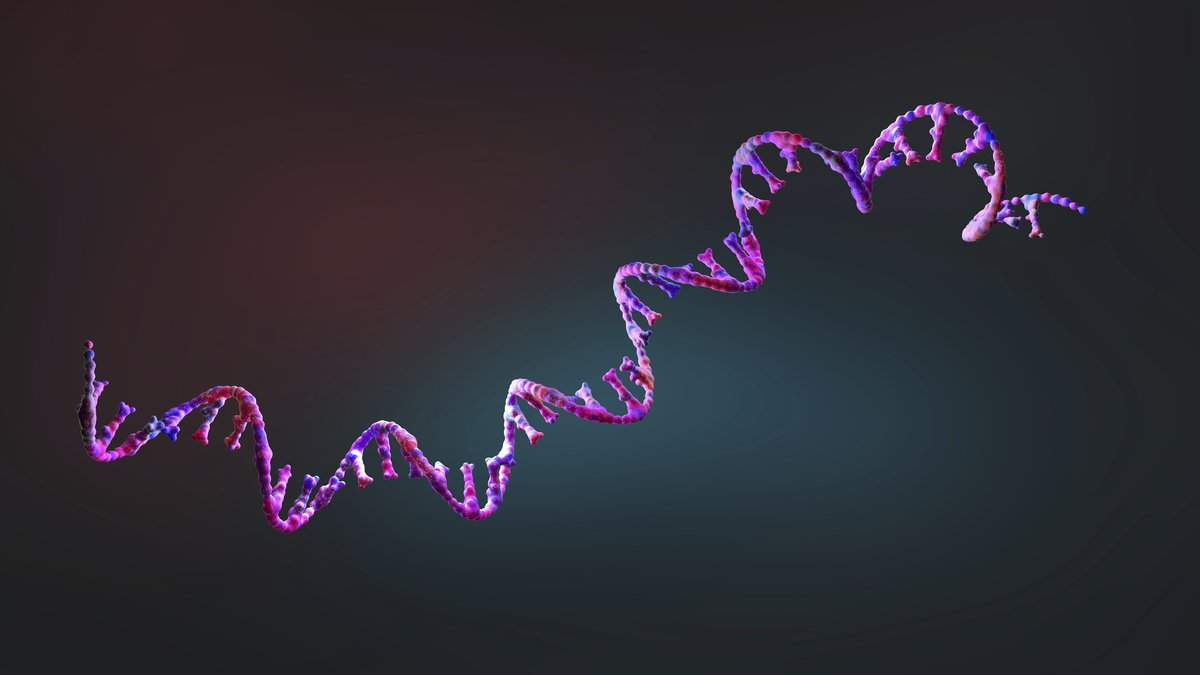 GENbio's tweet photo. RNA Editing Is Having a Moment
Although #DNAediting has been celebrated for its potential to create new drugs, a relatively unsung alternative, #RNAediting, may end up stealing the show. Learn more: https://t.co/rCMBskMbxX https://t.co/mDNfbOTNQS