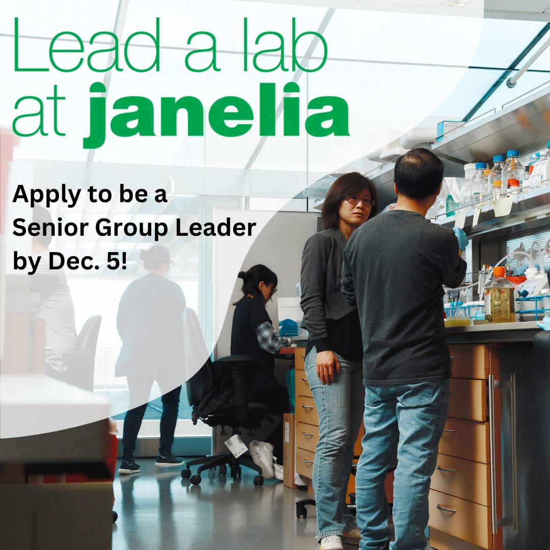 HHMIJanelia's tweet image. ✨ We're #hiring Senior Group Leaders for our #Computation & Theory + 4D #CellularPhysiology research areas ✨
🥼 Applicants should have 10+ years of experience running a lab and an interest in mentoring early-career researchers.
🔗 Apply by Dec. 5: janelia.org/groupleader.