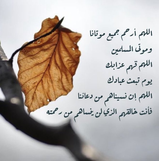 #سليمان_العطيشان