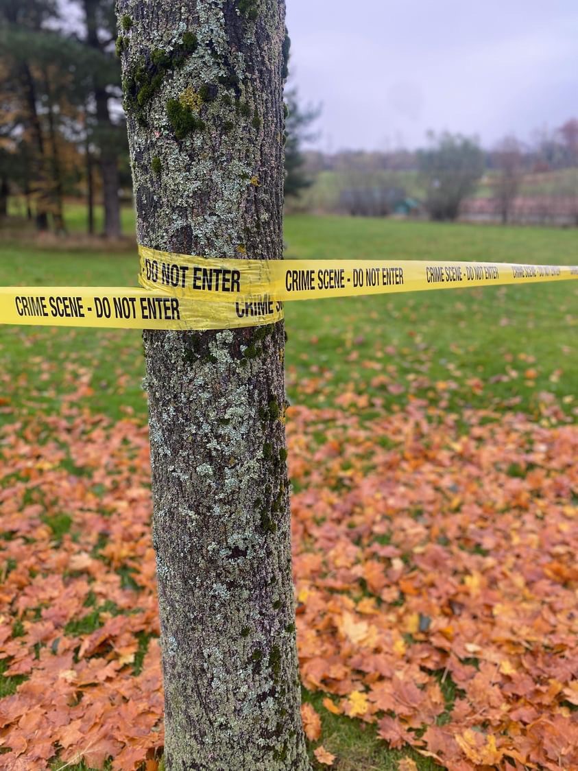 StrathScience's tweet image. Our MSc Forensic Science students took part in the infamous crime scene exercise this week!

Sticking with tradition it was another wet one but that didn’t stop our students getting stuck in. ☔️⚠️🚨

@StrathChem @UniStrathclyde @StrathForensics
