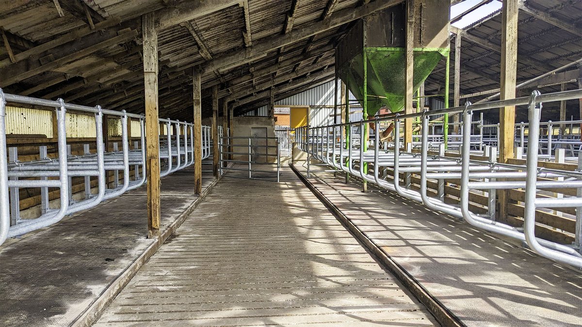 RudolfHoermann's tweet photo. Stallumbau in Niedersachsen abgeschlossen!🔨

Wir freuen uns, euch mitteilen zu können, dass wir kürzlich wieder einen ehemaligen, ungenutzten Milchviehstall erfolgreich zu einem modernen Bullenstall umgebaut haben!🐄🐮

https://t.co/DfzdtUwIL8 https://t.co/TBtA5POyMF