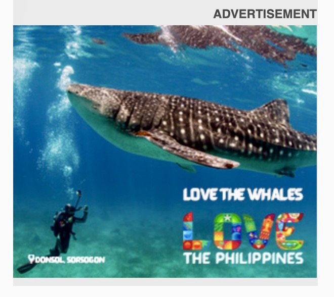 This ad just popped up on a website I was on and OMFG  Whale sharks. Are. Elasmobranchs. Not. Mammals.
