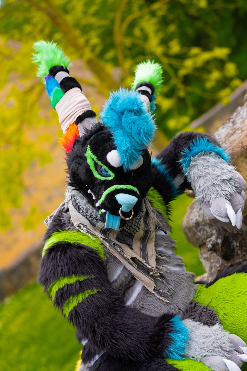 What's up my floofs. Got my head refurbished new pictures dropping soon. But in the mean time here a picture of our last shoot in germany.

📸: <a href="/BlazeShadeWolf/">b l a z e 🦮</a> 

#Furry #fursuit