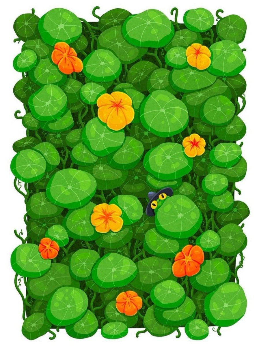 Reference VS Art 🐸🌱💚✨