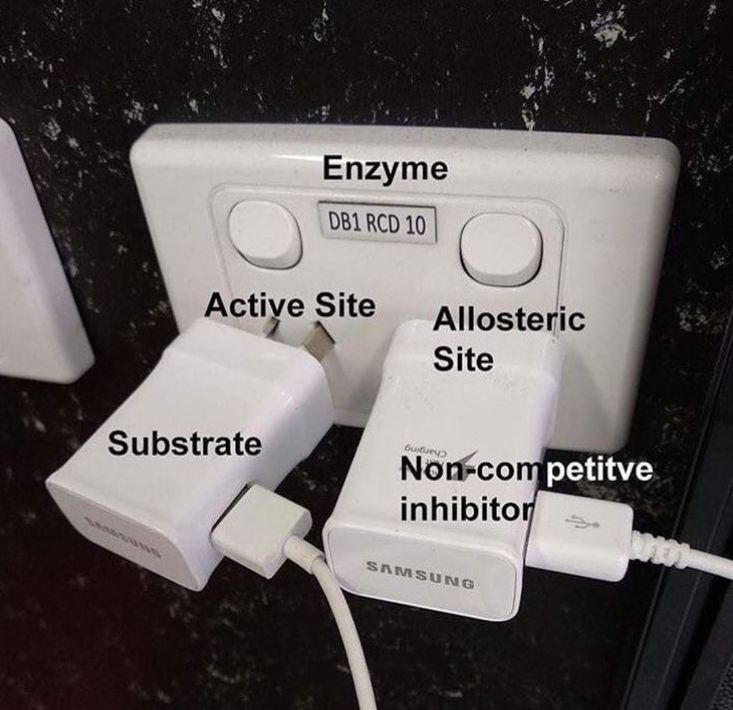 Enzymology in a nutshell … 😅🤣🤣

#enzymes #protein #molecularbiology #bioengineering #biotechnology #lifesciences #labmemes #phdmeme #phdlife