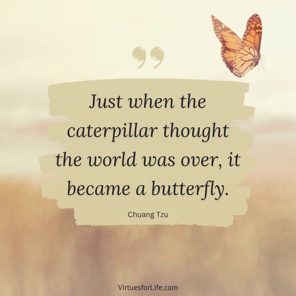 The caterpillar dies, turns into a cocoon, and then emerges to become a butterfly. The rebirth into something else, something beautiful, can come from our darkest moments.  Have faith, be strong, and remember a beautiful, new journey awaits you.