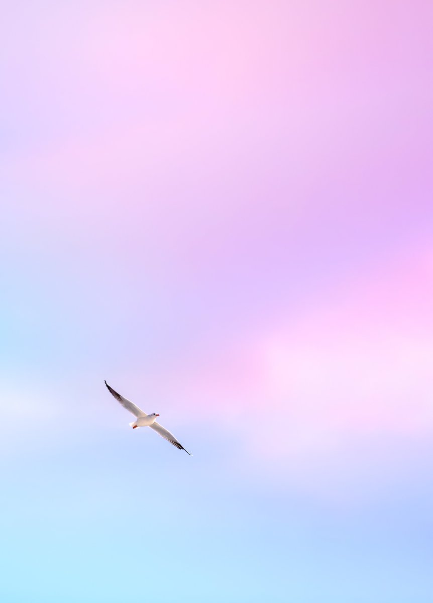 “Serene Sky: A Seagull's Flight” is my very first limited edition and it's available on foundation. Link in 🔗