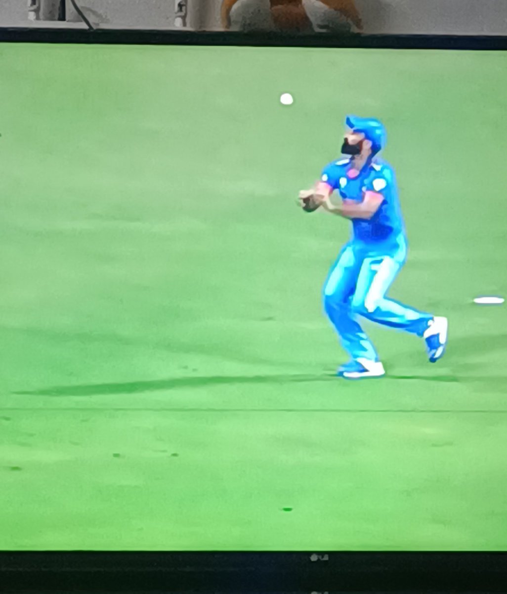 baskarviral's tweet photo. Bhay Shami kyaa chidiya udd tota uddd khelre ho yrrrr #INDvsNZ https://t.co/irw9lw3XlE