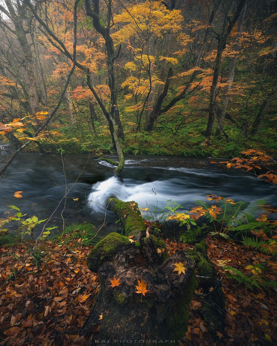 The distance is far away and the steps don’t stop