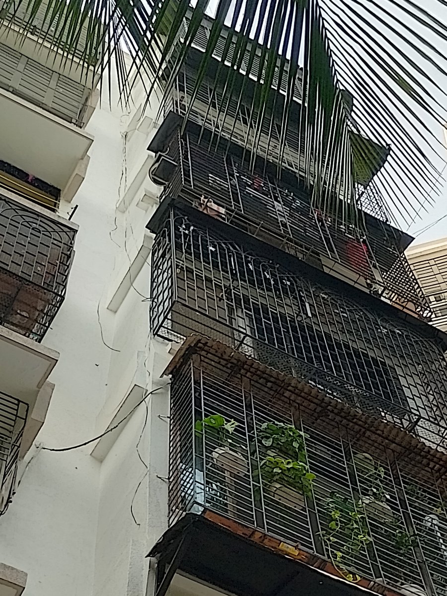 i_amitmerchant's tweet image. Risk of #dengu and #malaria, :  Krishna Apt, 4 Bunglow RD, Nr. Good Sephard Church, Andheri (W), Mumbai. BMC couns. ward 67 &amp;amp; 68 office. @BJP4Maharashtra @mybmc @MoHFW_INDIA 
@mybmcwardKW @mumbaimatterz @MumbaiPolice @AndheriLOCA @Andherinews @MoneylifeF @CPMumbaiPolice