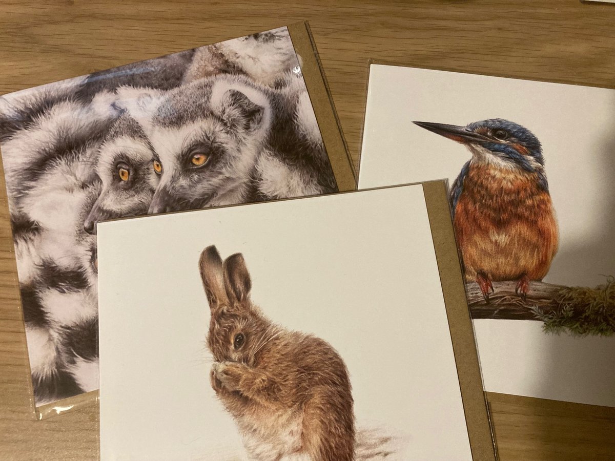 Thank you <a href="/annahamiltonart/">Anna Hamilton Art</a> for my absolutely STUNNING cards. So looking forward to sending these out. You're a talented artist.