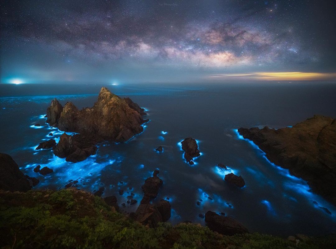 Leave your eyes to the scenery and your weight to the delicious food.