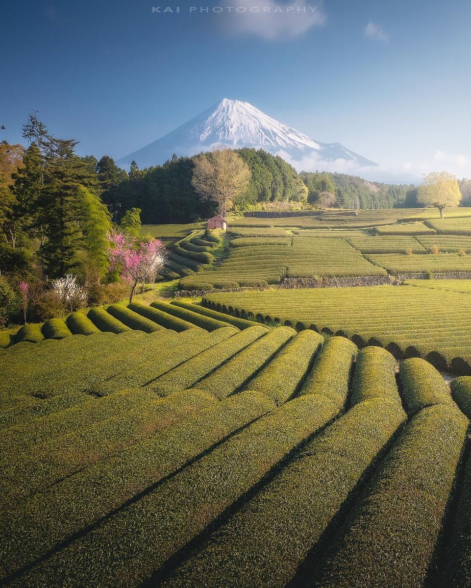 Many people sold their dreams and exchanged them for daily necessities.