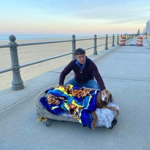 Dalbodog's tweet photo. A couple of weeks ago Mike & I were riding our bikes on the boardwalk & came across this sweet soul walking his beloved golden.
She’s 14 & not so good with her legs so he pulls her around on this bed he made so she can enjoy the smells of the ocean. I had to stop & express my love for his extraordinary care ... compassion, kindness, love. I need more people like this in my life.
Credit: Carrie Copenhaver