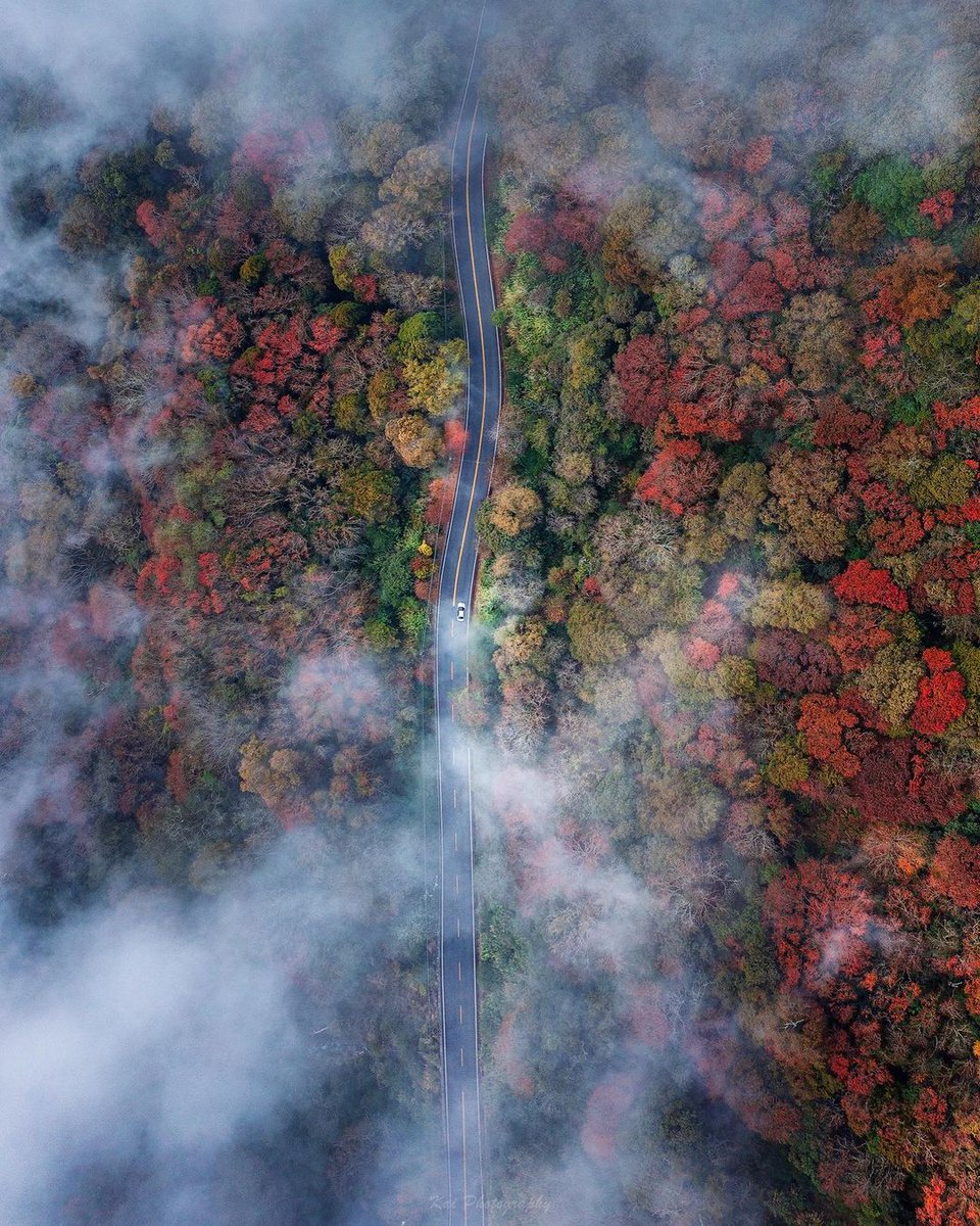 Go your own way and see your own scenery