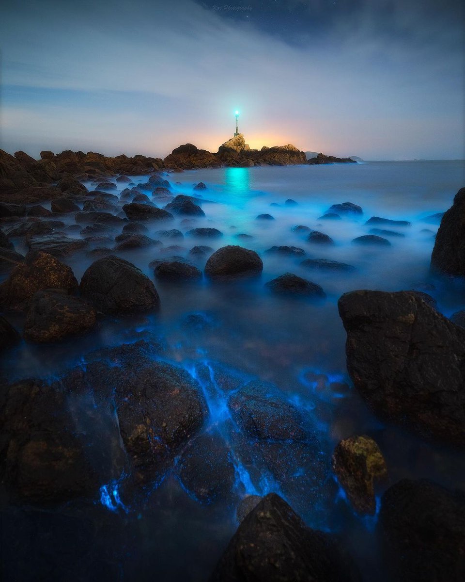 The waves are a wonderful sight on the sea, but she is more like a dancer. She can make people put aside their worries and enjoy it to their heart's content.