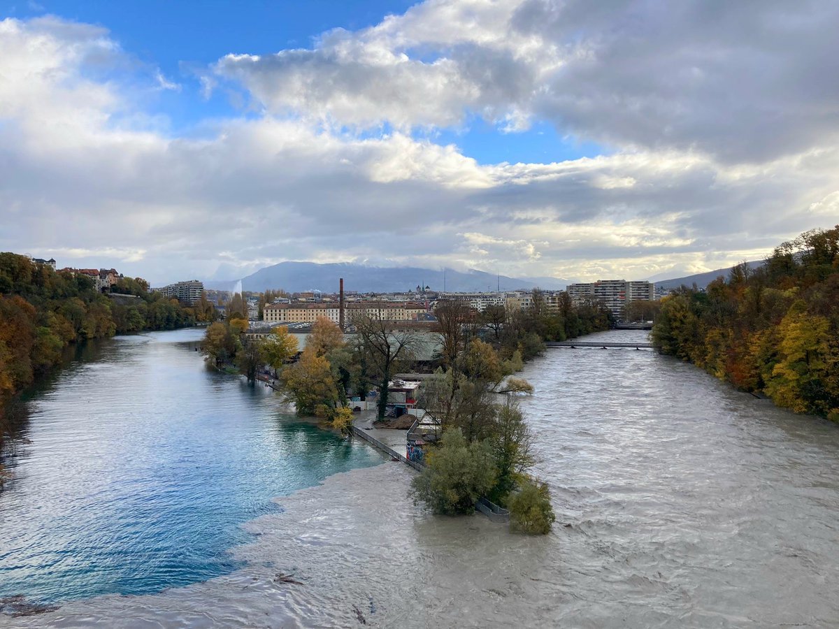 Melaine Le Roy tweet media