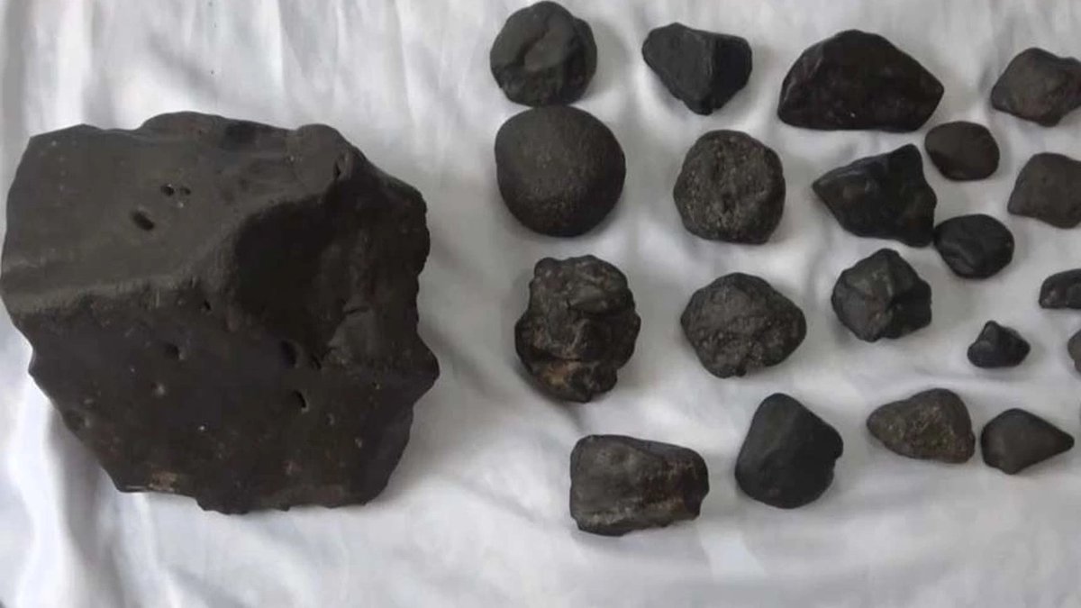 Muş'ta bir çiftçi, mantar toplamaya çıktığı arazide yaklaşık 20 adet göktaşı buldu.