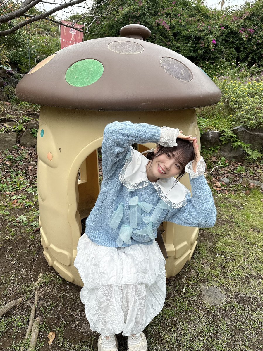 きのこ🍄