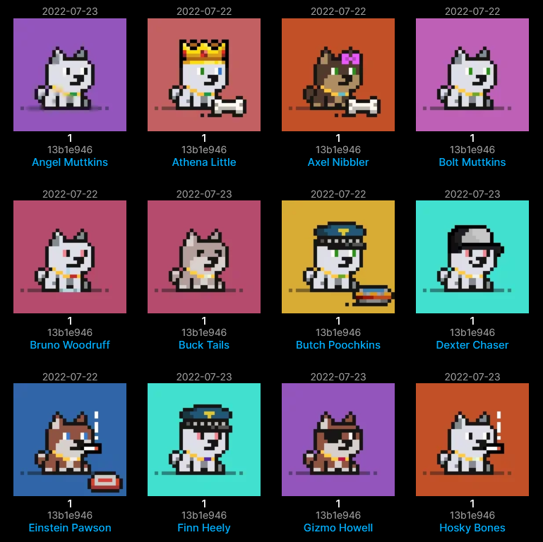 Chains On Dogs | Season 6 Races | 2024 tweet media