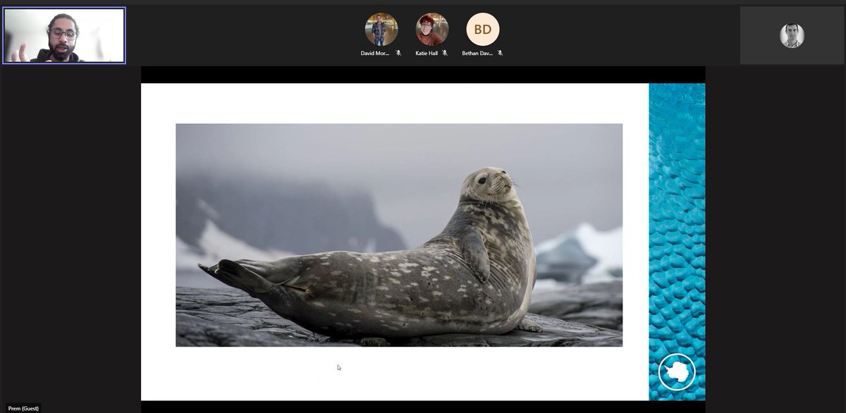 GIS4HE's tweet image. learning loads about polar science career and seals with the amazing @PolarPrem for our #teachwithgis #GISday live cast