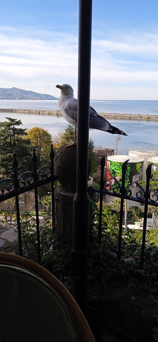 Güze son bakış.