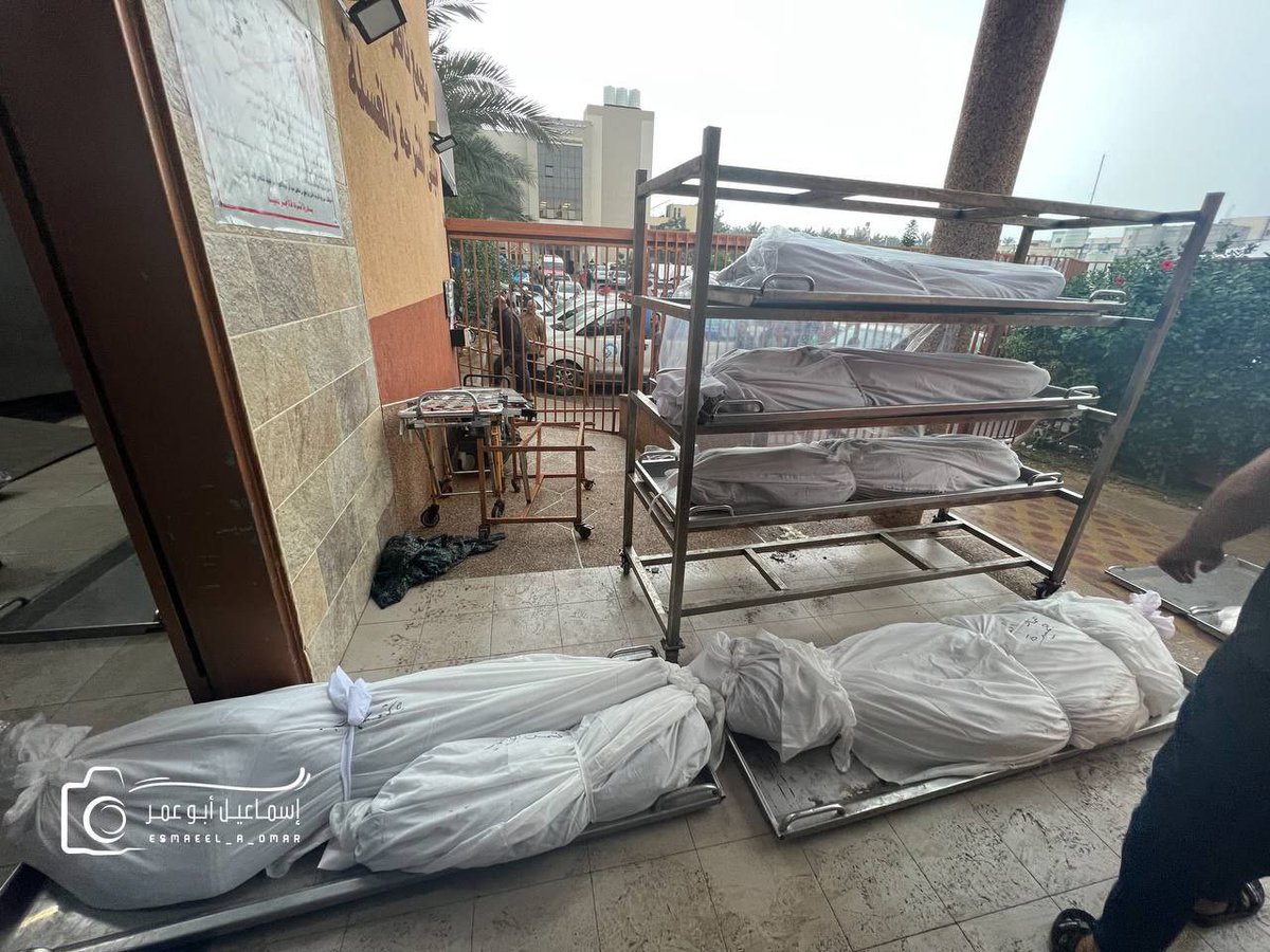HerNameIs_Bea's tweet photo. First "kill them all" and then roll in some equipment!

You will fool only your #GenocideApologist brigade.

#CeasefireNOW #EndTheImpunity #EndTheOccupation #StopGazaGenocide https://t.co/zo7O04r8hJ