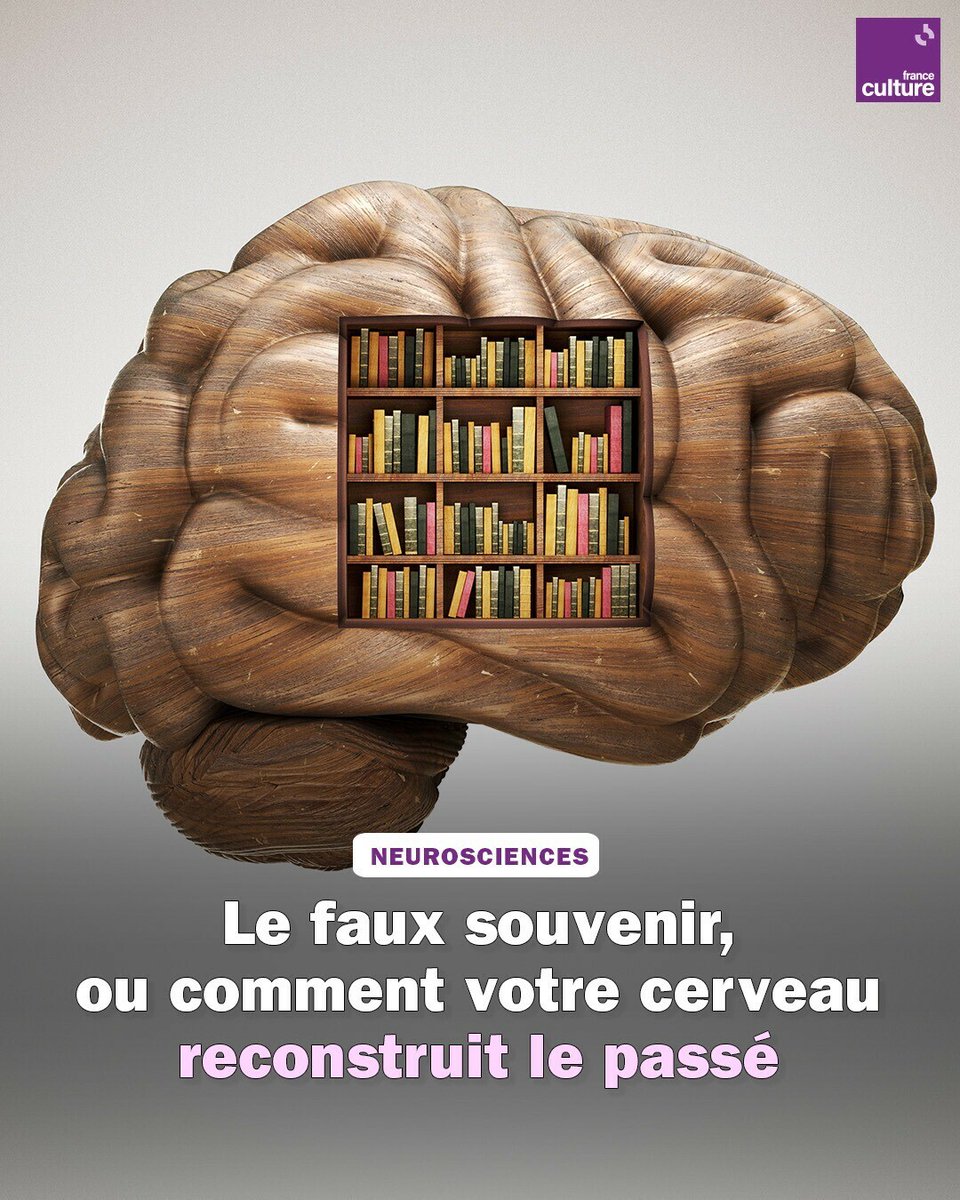 franceculture's tweet photo. Chaque fois que l'on revisite un souvenir, on le "recolore" avec la personne que l’on est aujourd’hui, explique le chercheur en neurosciences Albert Moukheiber.
➡️ https://t.co/51GfJHb5c1 https://t.co/KnF2KiwJ51