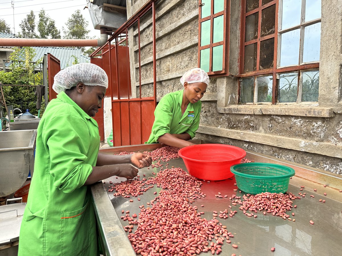 ''This work helps me pay school fees for my children, pay my house rent and feed my family'' Salome ,a food technician at <a href="/frozenislekenya/">Frozen Isle</a>  shares her story.

Watch her story on Youtube !

youtu.be/aNZEOlxKMAY?fe…
#KuaVentures